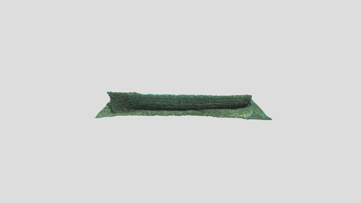 Saint-Prex wreck (1) 3D Model