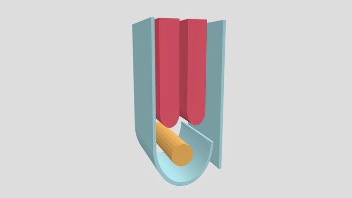 inguinal canal 3D Model