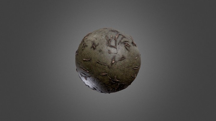 Forest Floor Material 3D Model