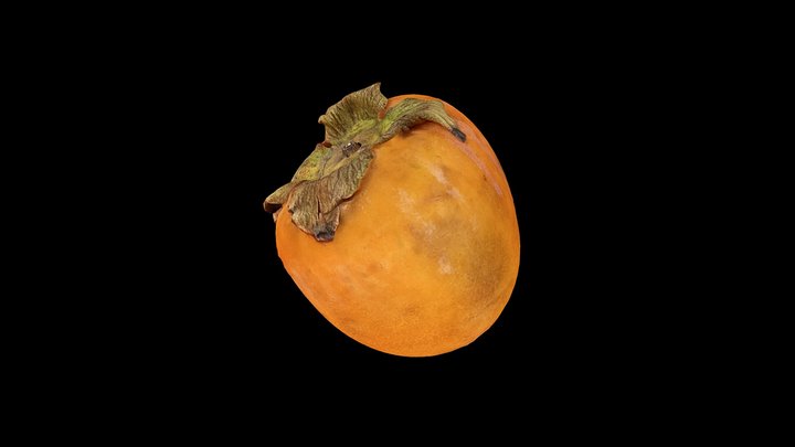 Persimmon Fruit 3D Model