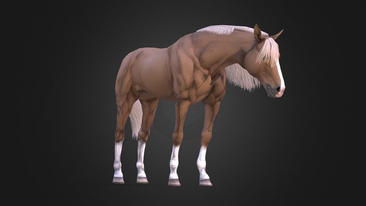 Horse 3D Model