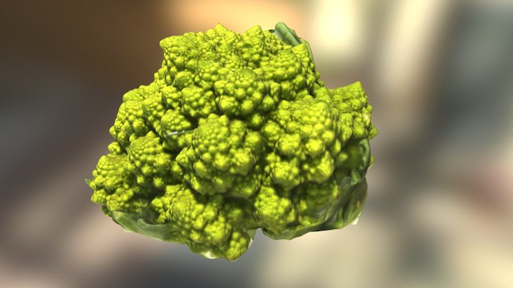 Cowly Flower 3D Model