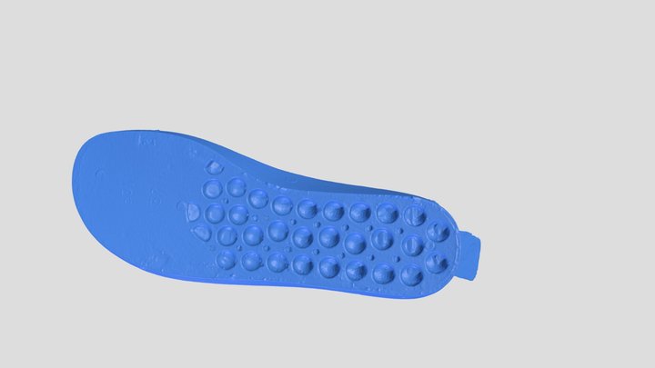 Giay 3D Model