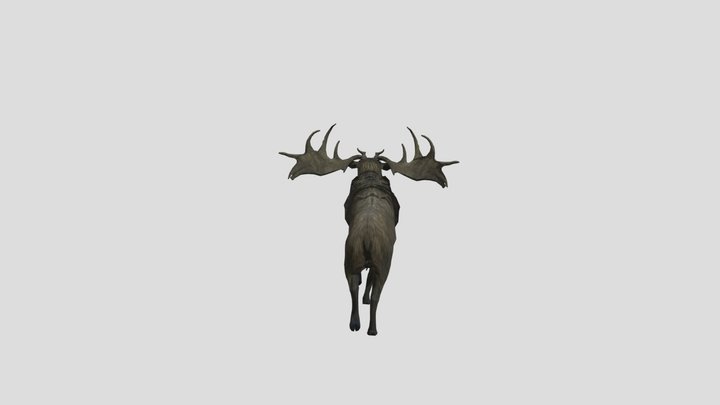 Lose-the-moose 3D Model