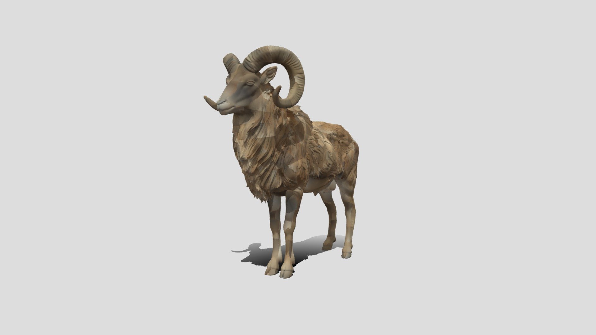Urial animal - Download Free 3D model by iRahulRajput (@rt699448 ...