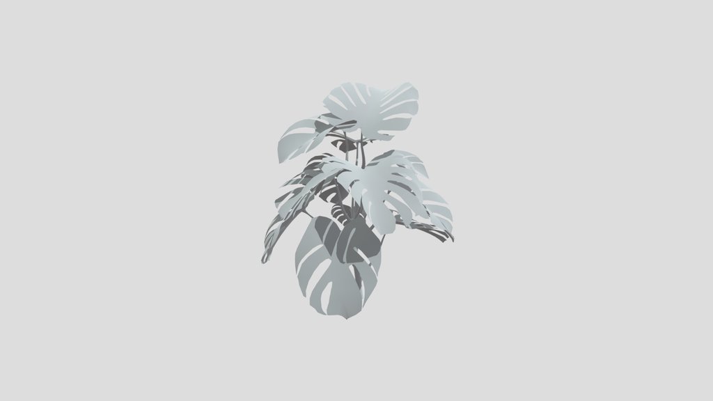 Monestera Plant Tall