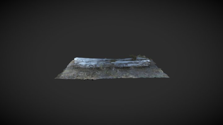 Gold Bluffs Beach Log 1 3D Model