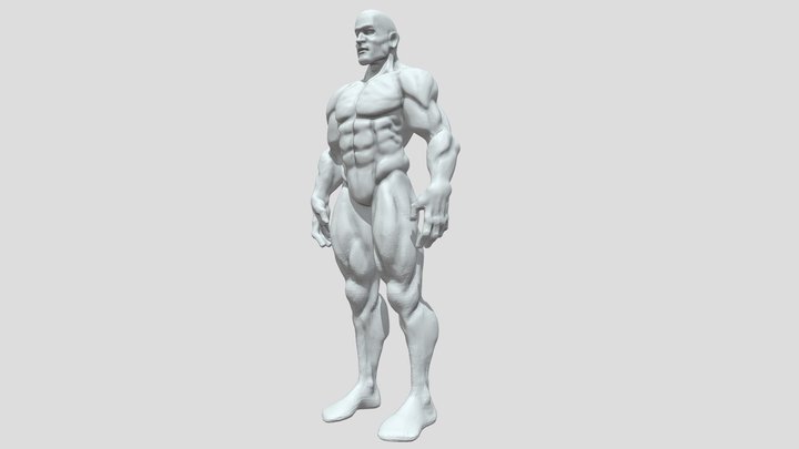 Human Body 3D Model