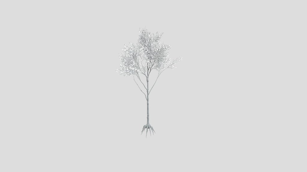 Tree 27