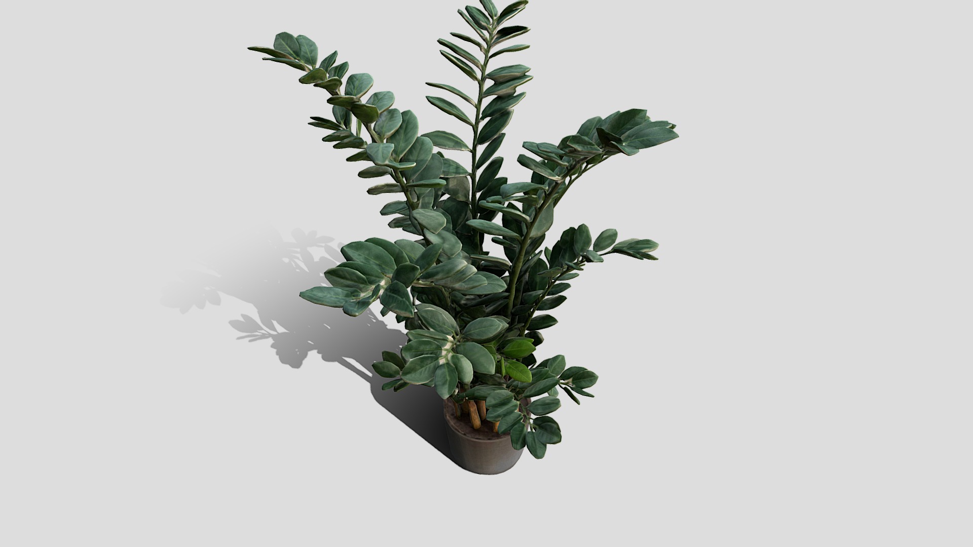3D model 000056_151412 - This is a 3D model of the 000056_151412. The 3D model is about a plant in a pot.
