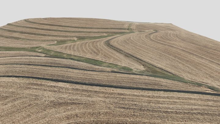 Farmland Model 3D Model