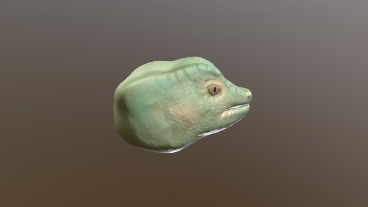 Lizard 3D Model