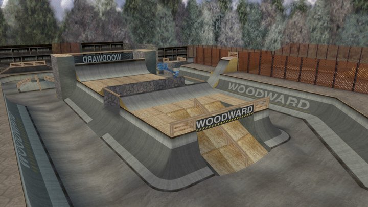 Dave Mirra Freestyle BMX Level Woodward Vert 3D Model