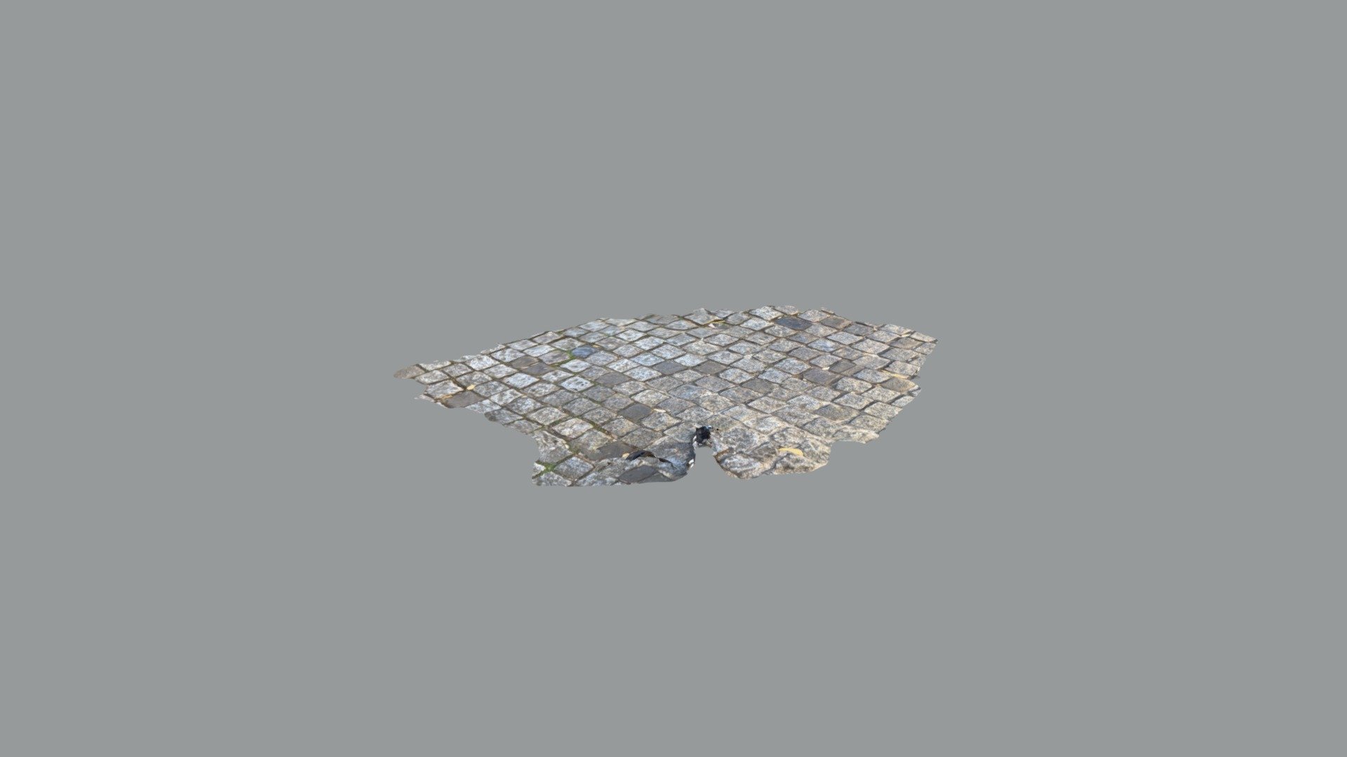 Lisbon Street Cobbles 1