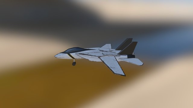 F-14 Tomcat w/ Details 3D Model