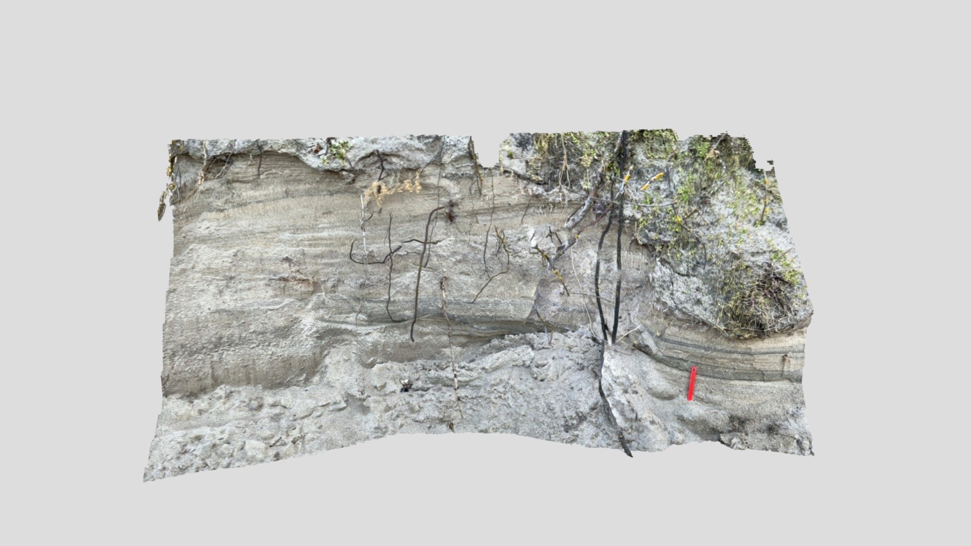 Dune cross-bedding