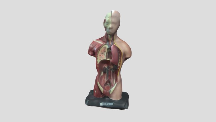 Polycam Test Scan 3D Model