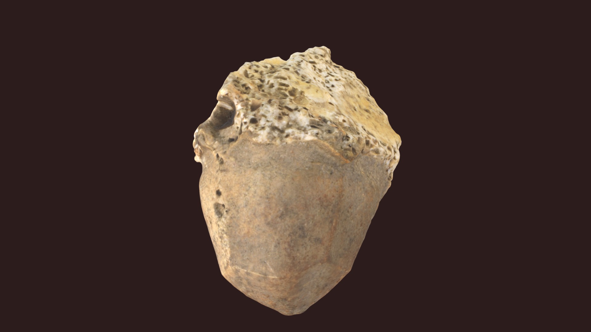 3D model Platycrinites planus - This is a 3D model of the Platycrinites planus. The 3D model is about a rock with a dark background.