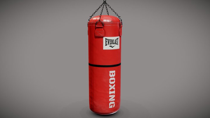Everlast Punching Bag 3D Model