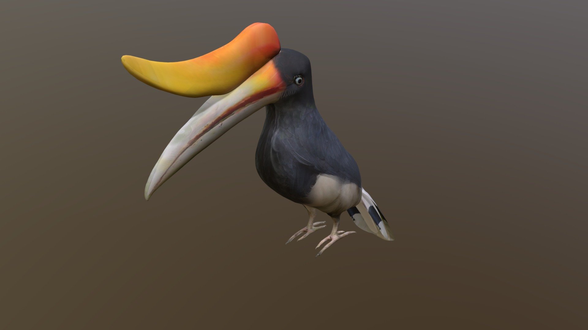 Hornbill on rush - Download Free 3D model by kenchoo [4e34193] - Sketchfab