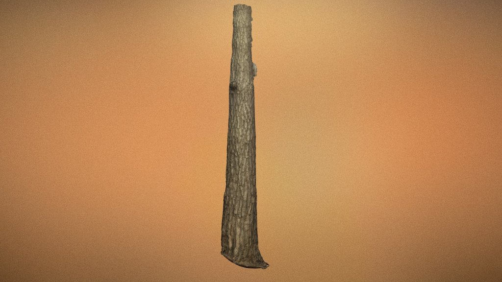 Big Trunk