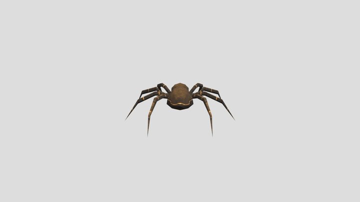 2720_spider 3D Model