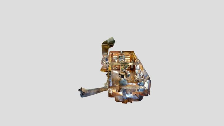 Polycam capture 3D Model