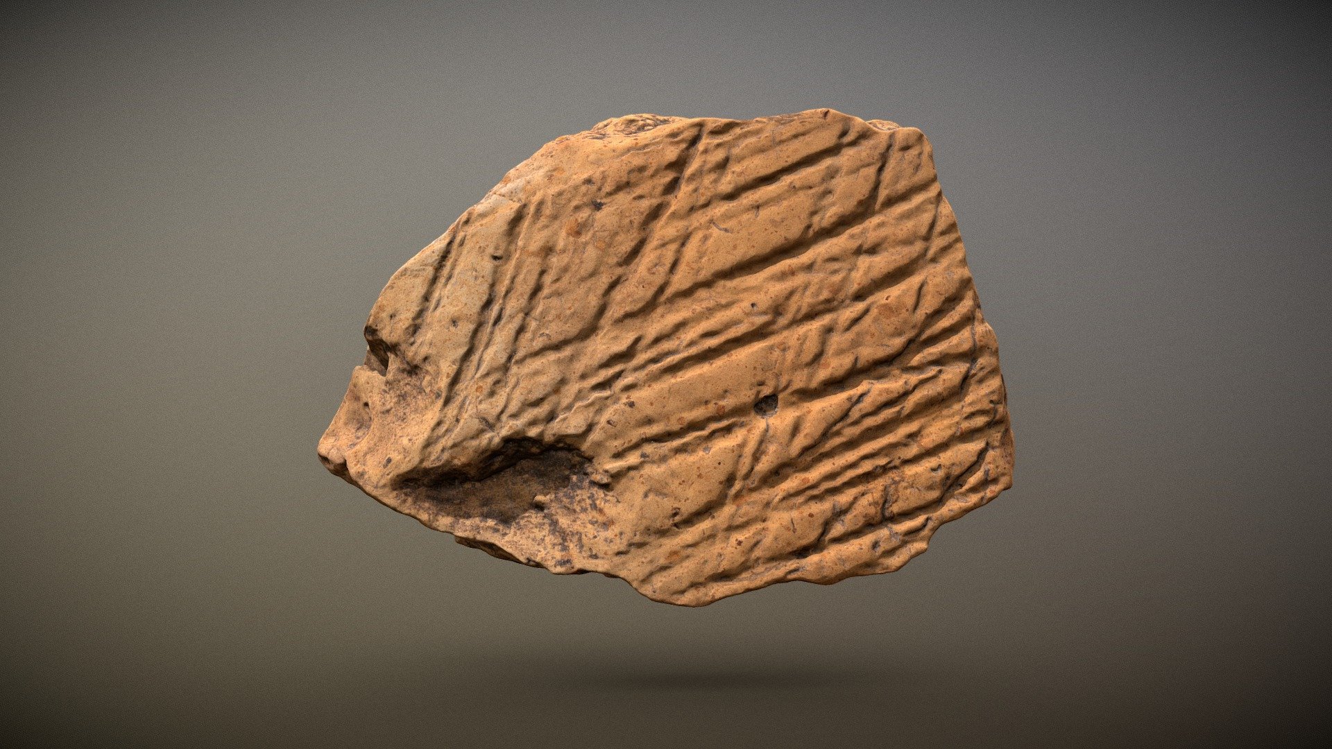 Cordedware Fragment