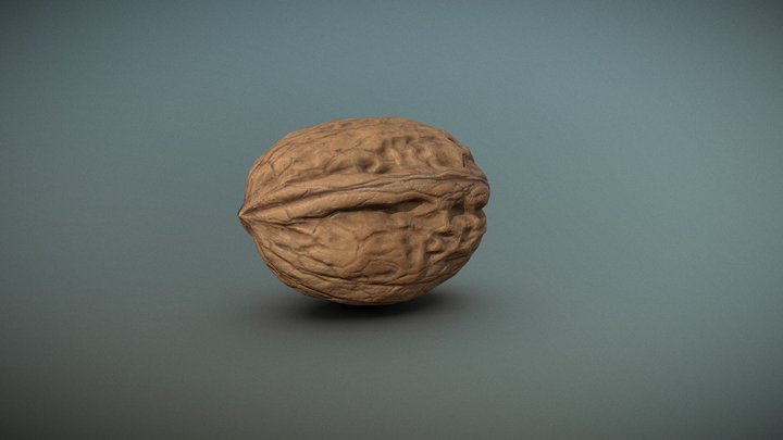 Walnut 3D Model