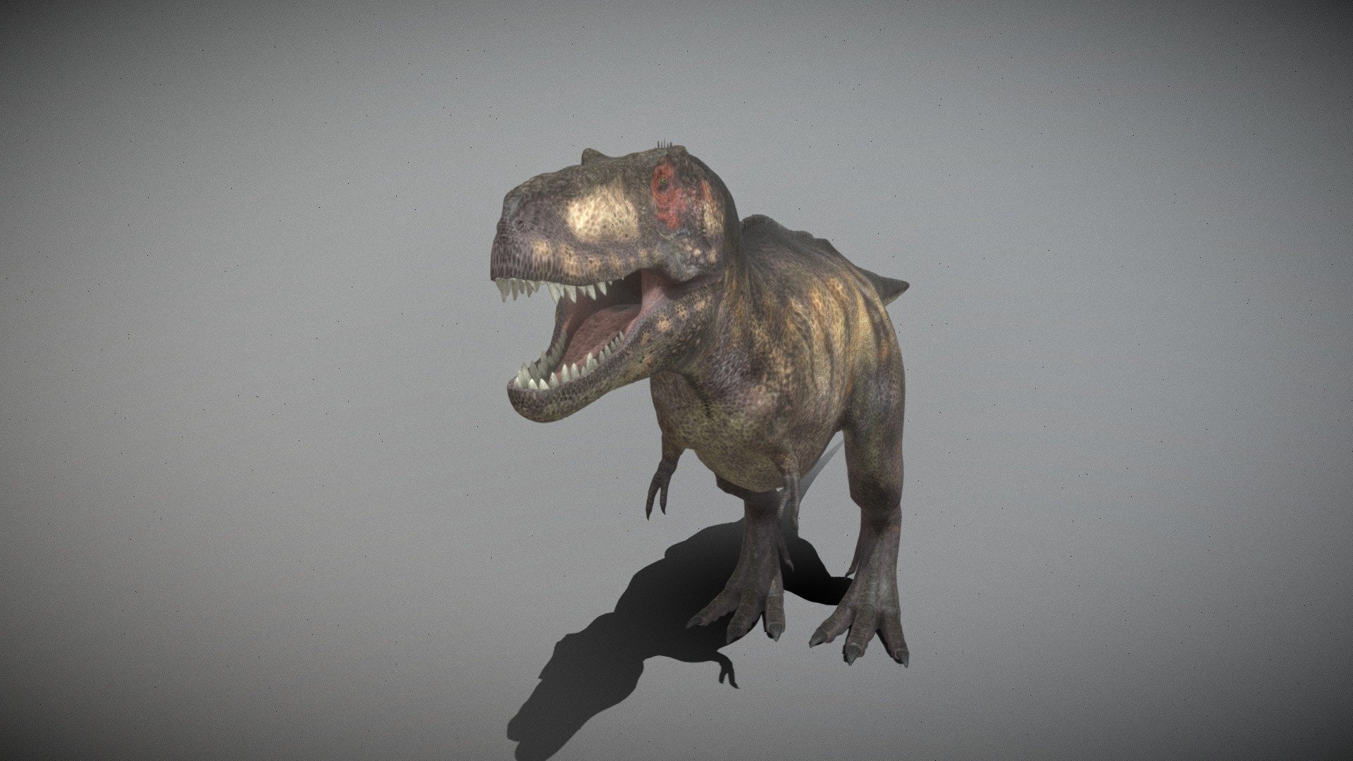 Dinoraul T Rex But It Is A Bit More Accurate Download Free 3d Model By Indominus Rex