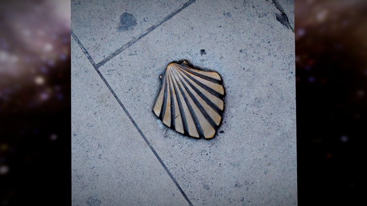 Perigueux, scallop shell