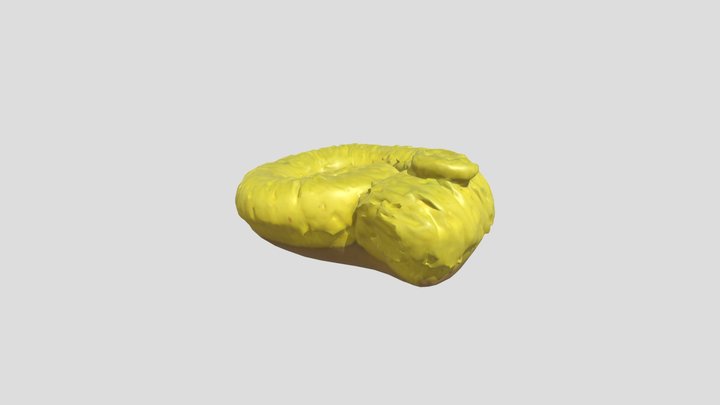thomas norman fossil – Kostenloses 3D-Modell STL
