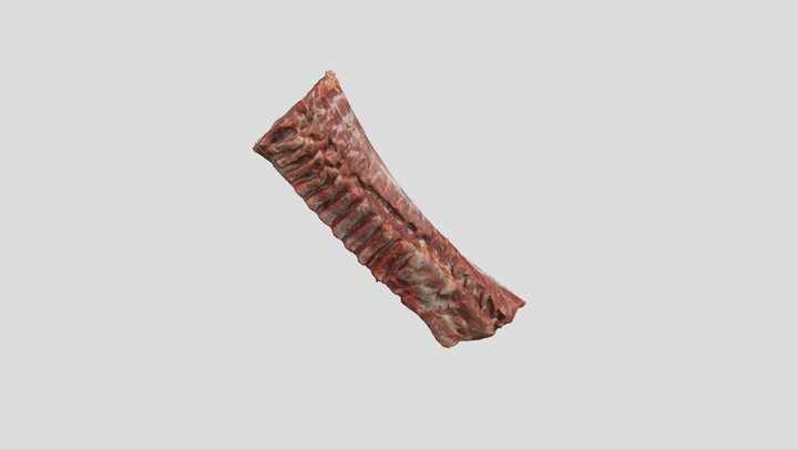 ロース 3D Model