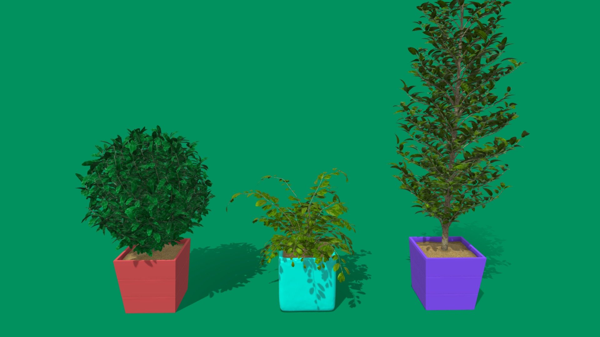 pot type