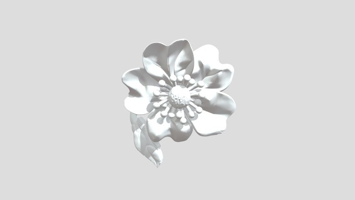 KOL Ts O 16 5 1 3D Model