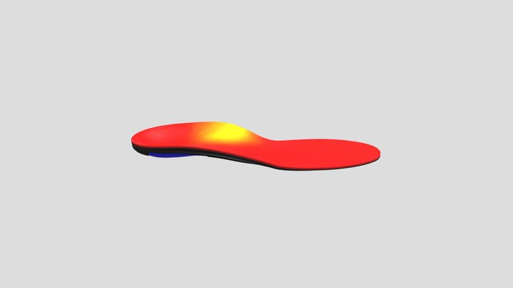 rw_nb_insole_right 3D Model