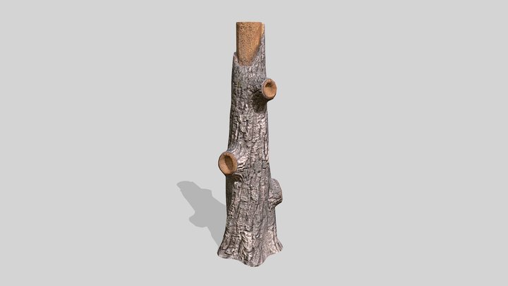 Tree Stump – Modello 3D gratuito STL