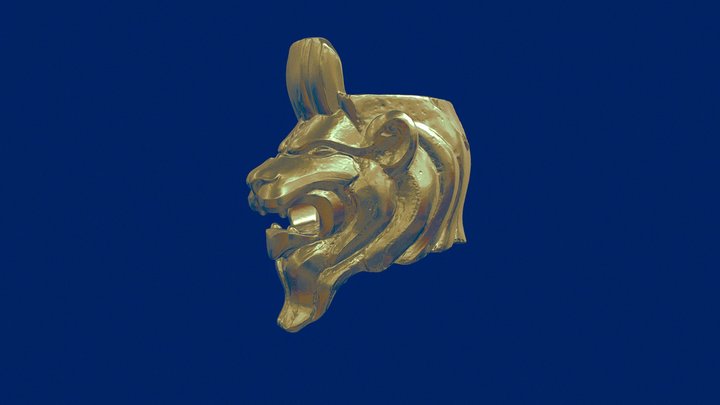 Jewelry - Lio 3D Model