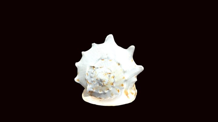 3DModel 3D Model