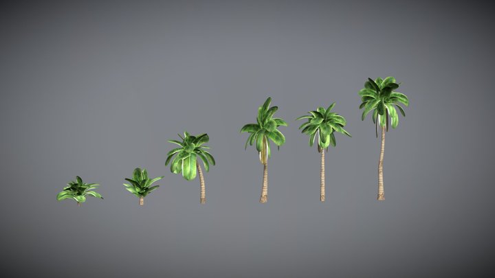 Tropical palm trees 3D Model