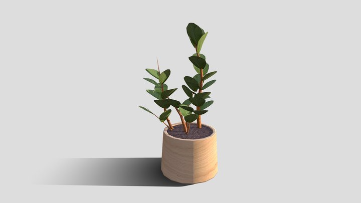 Assignment 8: Plant 3D Model