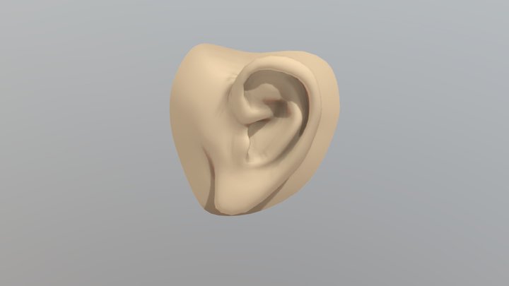 Ear_ValterS 3D Model