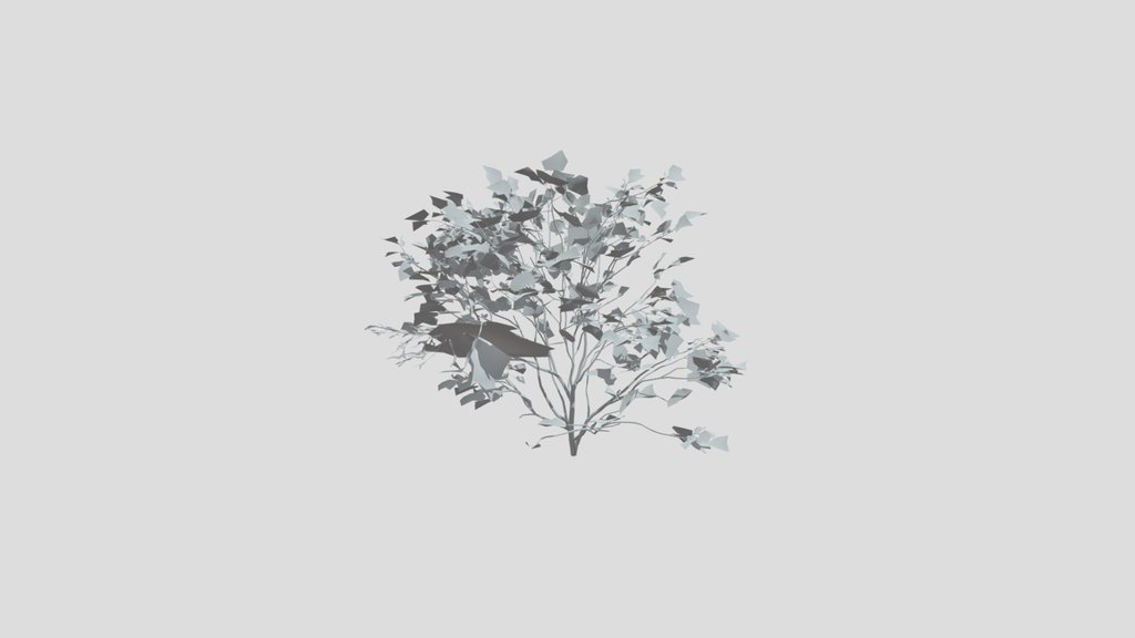 Hornbeam Small
