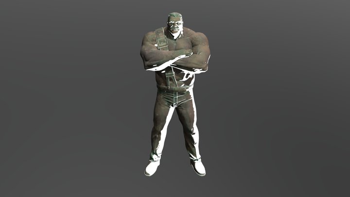 HAGGAR 3D Model