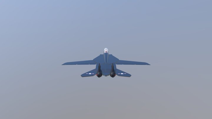 F14 fighter jet 3D Model