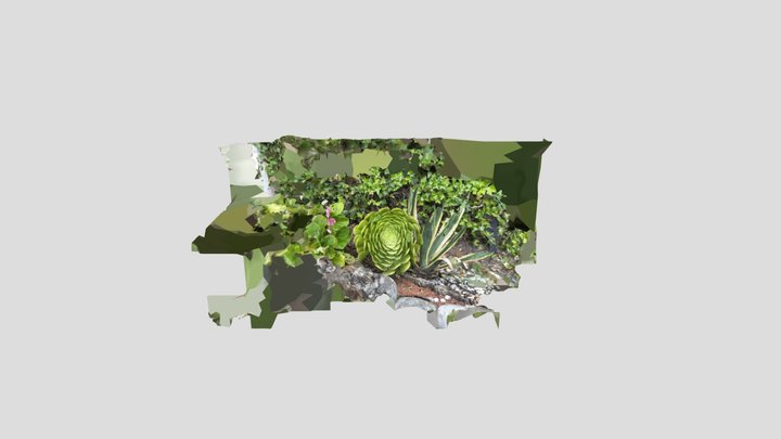 Bogotá Flower 3D Model