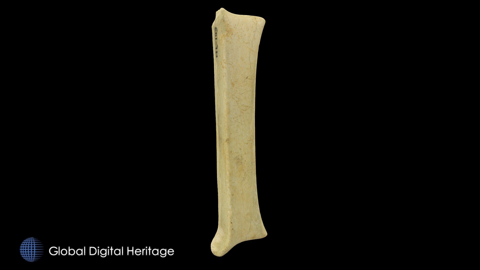 HL-103 Bone Labret