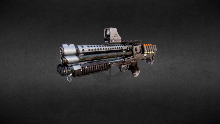 Shotguns and bullets 3D Model
