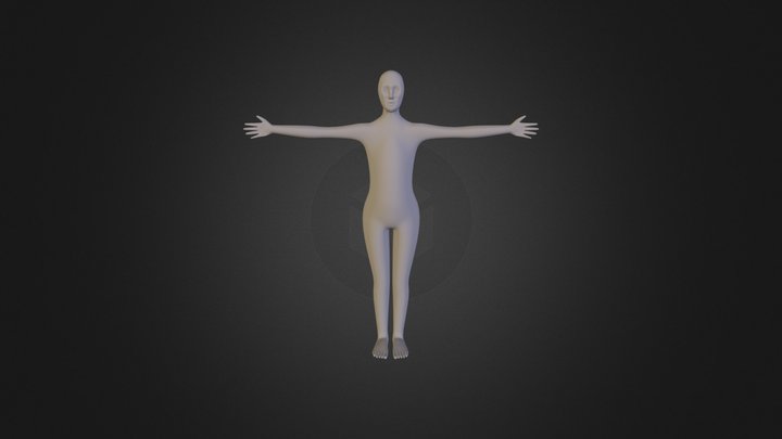 Figure Polygon  3D Model