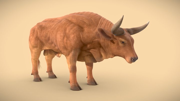 Movie-animal-character 3D models - Sketchfab